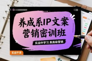 养成系IP文案营销密训班，实战中学习真高级营销-资源站