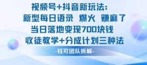 视频号加抖音新玩法：爆火新型每日语录，收徒教学加分成计划，三种变现玩法，当日变现7张-资源站
