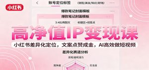 高净值IP变现课：小红书差异化定位，文案点赞成金， AI高效做短视频-资源站