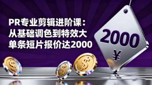 PR专业剪辑进阶课:从基础调色到特效大片的进阶技能,单条短片报价达2000-资源站