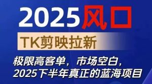 2025风口TK剪映capcut拉新项目,极限高客单,市场空白,2025下半年真正的蓝海项目-资源站