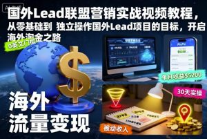 国外Lead联盟营销实战视频教程，从零基础到独立操作国外Lead项目的目标，开启海外淘金之路-资源站