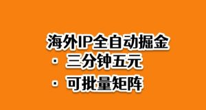 海外ip全自动掘金,2025必做蓝海项目,3分钟落地,矩阵直接开干【揭秘】-资源站