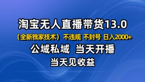 淘宝无人直播13.0,公域私域技术,不封号,不违规 布局下半年旺季赛道,日入2000+-资源站