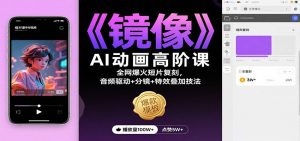 《镜像》AI动画高阶课:全网爆火短片复刻,音频驱动+分镜+特效叠加技法-资源站