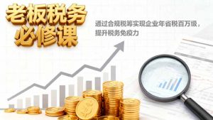 老板税务必修课,通过合规税筹实现企业年省税百万级,提升税务免疫力-资源站