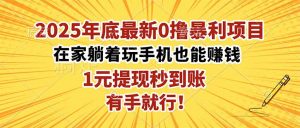 2025年底最新0撸暴利项目，在家也能躺赚，1元秒提现，有手就行！-资源站