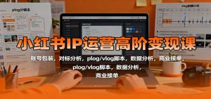 小红书IP运营高阶变现课：账号包装，对标分析，plog/vlog脚本，数据分析，商业接单-资源站