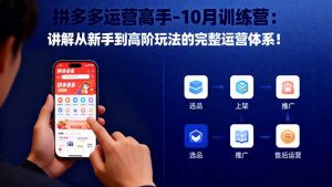 拼多多运营高手-10月训练营：讲解从新手到高阶玩法的完整运营体系！-资源站