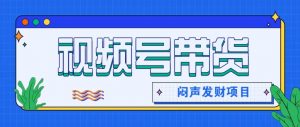 微信视频号带货项目，轻松日赚赚2000+，这个挣钱入口很多伙伴都在闷声发财-资源站