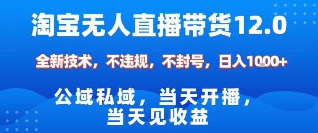 淘宝无人直播12.0，公域私域技术，不封号，不违规布局双十一流量风口，日入1k(独家技术)【揭秘】-资源站