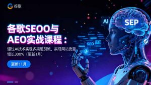 谷歌SEO与AEO实战课程：通过AI技术实现多渠道引流，实现网站流量增长300%-资源站