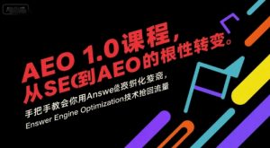 AEO 1.0 课程，从SEO到AE0的基命性转变，手把手教会你用AnswerEngineOptimization技术抢回流量(更新)-资源站