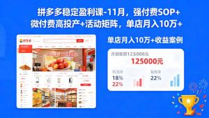 拼多多稳定盈利课-11月，强付费SOP+微付费高投产+活动矩阵，单店月入10万+-资源站