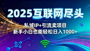 2025网创尽头王炸项目!私域 IP + 精准引流,新手小白在家躺赚日入 1000+-资源站