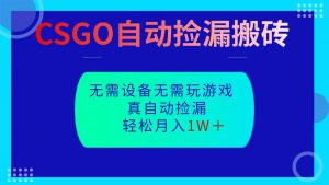 CSGO自动捡漏搬砖,当天操作当天见结果,无需了解游戏,包教包会包落地-资源站