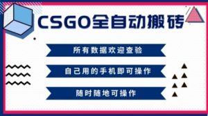CSGO全自动搬砖,年底钱回家好项目,当天可拿到结果,新手小白轻松月入1W+【揭秘】-资源站