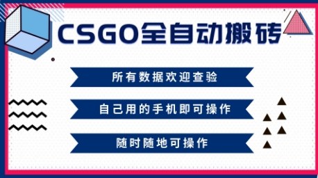 CSGO全自动搬砖，年底钱回家好项目，当天可拿到结果，新手小白轻松月入1W+【揭秘】-资源站