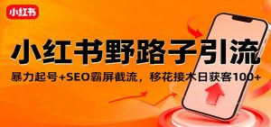 小红书野路子引流，暴力起号+SEO霸屏截流，移花接木日获客100+-资源站