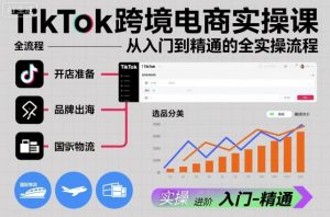 TikTok跨境电商实操课，从入门到精通的全实操流程-资源站