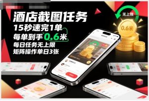 酒店截图任务，15秒速完1单，每单到手0.6米，每日任务无上限，全网首发玩法，矩阵操作单日3张【揭秘】-资源站