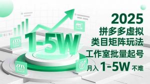 2025 拼多多虚拟类目矩阵玩法,工作室批量起号,月入 1-5W 不难-资源站