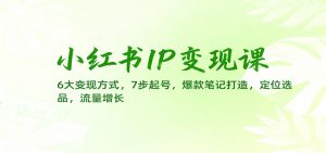 小红书IP变现课：6大变现方式，7步起号，爆款笔记打造，定位选品，流量增长-资源站