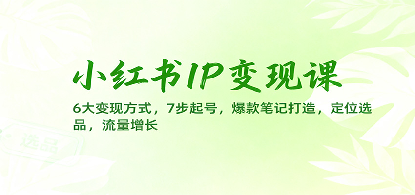 小红书IP变现课：6大变现方式，7步起号，爆款笔记打造，定位选品，流量增长-资源站