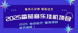 2025最新挂机番茄音乐项目，每天几分钟，日入1000＋-资源站