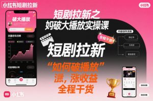 短剧拉新之小红书如何破大播放实操课，如何破播放，涨收益，全程干货-资源站