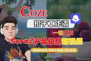 Coze扣子智能体工作流一键生成“SORA2产品信息“短视频，全流程保姆级教学-资源站