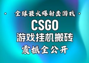 【年底大揭秘】基于全球最火爆的射击CSGO游戏挂G搬砖，日入5张+，震撼公开-资源站
