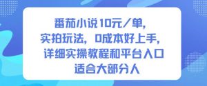 番茄小说10米每单，实拍玩法，0成本好上手，详细实操教程和平台入口适合大部分人-资源站