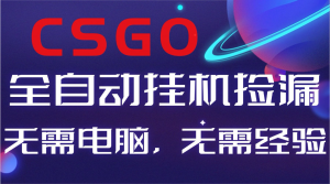【副业好项目】全球火爆游戏CSGO自动捡漏，新手小白日入500+-资源站