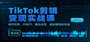 TikTok剪辑变现实战课：素材获取，PR技巧，搬运运营，解锁赚钱新技能-资源站