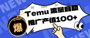 专注于Temu商家提供精准曝光浏览量，助力店铺排名提升和转化，单机日收入80-130【揭秘】-资源站