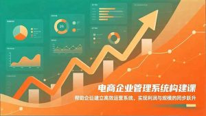 电商企业管理系统构建课：帮助企业建立高效运营系统，实现利润与规模的同步跃升-资源站