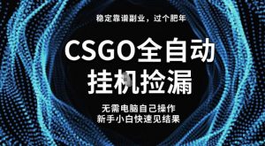 【稳定副业】全球最热门游戏CSGO全自动捡漏，最新玩法，新手小白日入5张+【揭秘】-资源站