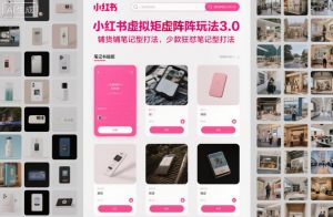 小红书虚拟矩阵玩法3.0，铺货铺笔记型打法，少款狂怼笔记型打法-资源站