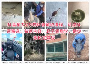 抖音某大V万物科普解说课程，可进抖音精选，独家内容，超干货教学，助你涨粉又賺钱-资源站
