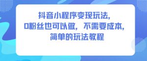 抖音小程序变现玩法，0粉丝也可以做，不需要成本，简单的玩法教程-资源站