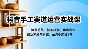 抖音手工赛道运营实战课，流量思维、标签机制、垂直定位，解决不起号难题，单月变现破3万-资源站
