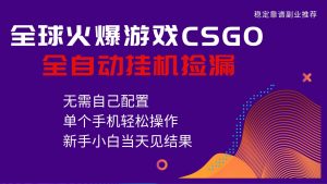 火爆游戏CSGO全自动捡漏,独家最新玩法,单个手机可操作,新手小白日入500+-资源站
