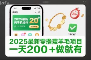 2025最新零撸薅羊毛项目，纯手机操作，20秒一单，无任何门槛，一天200+做就有【揭秘】-资源站