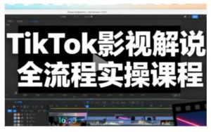 TikTok影视解说全流程实操，手把手教你打造TK爆款解说视频-资源站