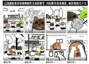 卤蛋哈基米短视频制作全流程教学，条条爆款，疯狂吸粉几十万-资源站