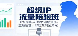 超级IP流量陪跑班：账号搭建+人设定位+爆款创作+直播运营，涨粉变现全流程-资源站