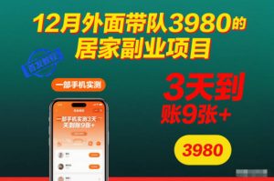 12月外面带队3980的居家副业项目，一部手机实测3天到账9张+，首发教程【揭秘】-资源站