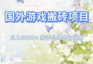 国外游戏全自动搬砖项目,日入10张,新手小白也可做,项目红利期,先搞先吃肉【揭秘】-资源站