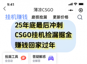 用CSGO游戏挂机捡漏掘金赚钱掘金,一部手机轻松日入500+-资源站